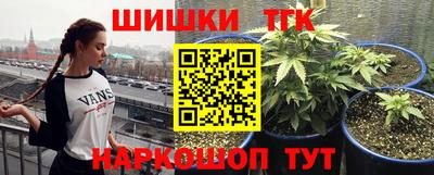 Альфа ПВП Чапаевск